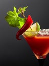 Bloody Mary cocktail with celery, lime, salt, and red pepper Royalty Free Stock Photo