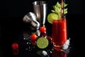 Bloody mary cocktail and ingredients: peper chili, lime, celery, ice and shaker. copy space Royalty Free Stock Photo