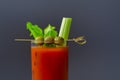 Bloody Mary cocktail prepared with pure vodka, tomato juice and hot pepper sauce, drink decorated with three olives and celery Royalty Free Stock Photo