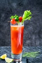 Bloody Mary cocktail with vodka and tomato juice with garnishes