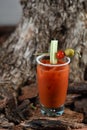 Bloody Mary cocktail with vodka, tomato juice, ice, olive and lemon wedge Royalty Free Stock Photo