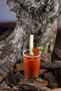 Bloody Mary cocktail with vodka, tomato juice, ice, olive and lemon wedge Royalty Free Stock Photo