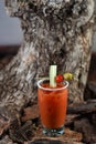 Bloody Mary cocktail with vodka, tomato juice, ice, olive and lemon wedge Royalty Free Stock Photo