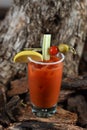 Bloody Mary cocktail with vodka, tomato juice, ice, olive and lemon wedge Royalty Free Stock Photo