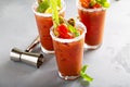 Bloody mary cocktails for brunch Royalty Free Stock Photo