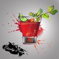 Bloody mary Royalty Free Stock Photo