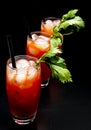 Bloody Mary cocktails with ice cubes and celery on black Royalty Free Stock Photo