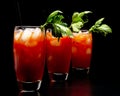 Bloody Mary cocktails with ice cubes and celery isolated on black Royalty Free Stock Photo