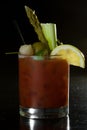 Bloody Mary cokatil Royalty Free Stock Photo