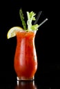 Bloody Mary cokatil Royalty Free Stock Photo