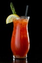 Bloody Mary cokatil Royalty Free Stock Photo