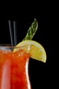 Bloody Mary cokatil Royalty Free Stock Photo