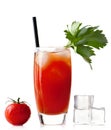 Bloody mary with ice cubes and tomato isolated on white Royalty Free Stock Photo