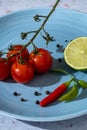 Bloody Mary ingredients concept. A branch of fresh and red cherry tomatoes, black pepper seeds, a lemon and a spicy Royalty Free Stock Photo