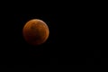 Bloody moon close-up against a black sky as a result of an astronomical event lunar eclipse. View in telescope, placement on the s