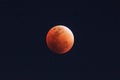 Bloody Moon on dark sky