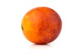 Bloody orange on a white background. Royalty Free Stock Photo