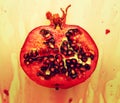 Bloody Pomegranade Royalty Free Stock Photo