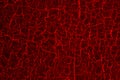 bloody red aggressive background with complex forms Royalty Free Stock Photo