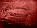 Bloody Water Rings Royalty Free Stock Photo