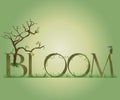 Bloom