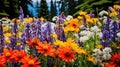 bloom british columbia flowers