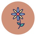 Bloom daisy, daisy Vector Icon which can easily edit Royalty Free Stock Photo