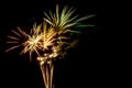 Bloom of Golden Fireworks Royalty Free Stock Photo