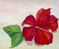 Red hibiscus flower with green leaves. Naturalistic painted by hand with watercolor pencils on watercolor paper. Royalty Free Stock Photo