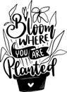 Bloom Where You Are Planted