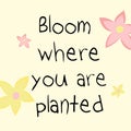 Bloom where you are planted inspirational quote