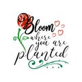 Bloom where you are planted quote lettering