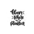 Bloom where you are planted