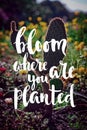 bloom where youare planted hand-written quote