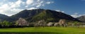 Bloomed Trees Green Fields and Mountains Royalty Free Stock Photo