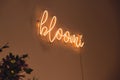 BLOOMI inscription in neon lights at night. Electric sign at night nightlife concept. Modern fluorescent life style