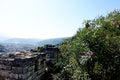 Blooming acacia in the ruins of the Berat Fortress Royalty Free Stock Photo