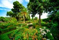 Blooming Alhambra garden