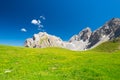 Blooming alpine meadows and high altitude rocky mountain range with deep blue sky. Royalty Free Stock Photo