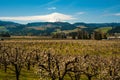 Blooming apple orchards in the Hood River Valley, Oregon Royalty Free Stock Photo