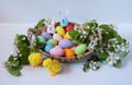 Blooming apple tree branches, cute toy chickens, handmade Easter bunnies and a basket of colorful eggs on a pastel gray background