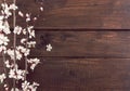 Blooming apricot on rustic wooden background.