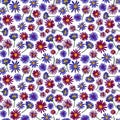 Blooming Aster flowers on white background. Raster seamless pattern hand-drawn