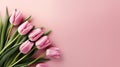 Blooming Beauties: Top View of Spring Tulip Flowers on Pink Background. created with Generative AI Royalty Free Stock Photo