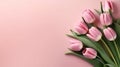 Blooming Beauties: Top View of Spring Tulip Flowers on Pink Background. created with Generative AI Royalty Free Stock Photo