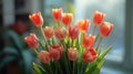 Blooming Beauty: Colorful Tulip Bouquet for Fresh and Vibrant Floral Arrangement Royalty Free Stock Photo