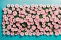 Blooming Beauty A High Quality Photo of Pink and White Flowers.AI Generated