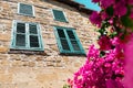 Blooming bougainvillea flowers on old stone wall of house with wooden windows background. Royalty Free Stock Photo