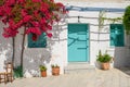 Blooming bougainvillea flowers, Greece Royalty Free Stock Photo