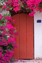 Blooming bougainvillea plant next to the red door Royalty Free Stock Photo